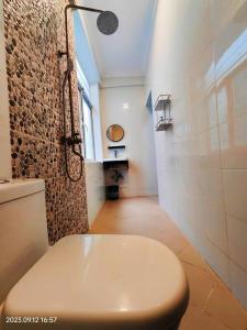 a white bathroom with a toilet and a shower at Ayaa Luxury Apartment 3rd Floor Zanzibar in Ngambo