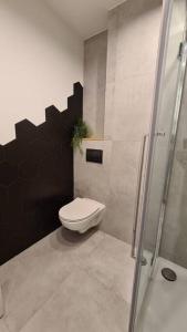 a bathroom with a toilet and a shower at Słoneczny apartament w centrum Gdyni in Gdynia