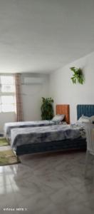 ein Schlafzimmer mit einem großen Bett in einem Zimmer in der Unterkunft Dar ettawfik in Tataouine