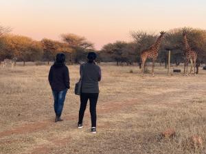 two women walking down a dirt road looking at giraffes at Tula Baba Game Lodge in Brits