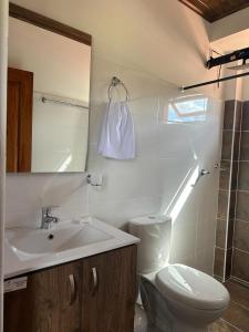 uma casa de banho com um lavatório, um WC e um espelho. em Hotel Pliosaurio Campestre em Villa de Leyva