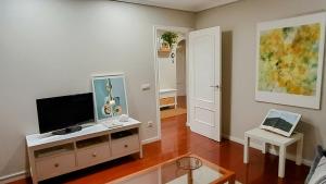 una sala de estar con TV de pantalla plana en un armario en APARTAMENTO VISTAZUL SAMIL, en Vigo