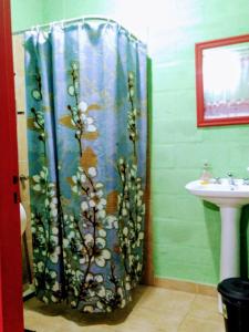 La salle de bains est pourvue d'un rideau de douche et d'un lavabo. dans l'établissement El Escarabajo Azul loft & Arte, à Villa Carlos Paz