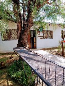un arbre assis devant une maison avec un banc dans l'établissement El Escarabajo Azul loft & Arte, à Villa Carlos Paz