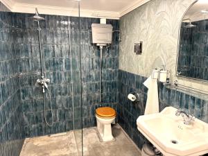 a bathroom with a shower and a toilet and a sink at Central studio apartment in Reykjavík