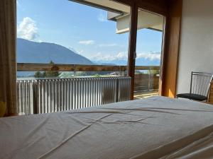 Příroda nedaleko apartmánu + 5 fotografií