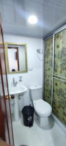 ein Badezimmer mit einem WC, einem Waschbecken und einem Spiegel in der Unterkunft HOTEL CUMANDAY in Pereira