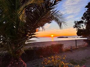 einen Sonnenuntergang am Strand mit einer Palme in der Unterkunft Almadrava Beach in Roses