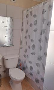 een badkamer met een toilet en een douchegordijn bij House Patagonia I in Coihaique