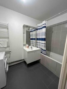 a bathroom with a sink and a mirror and a shower at Appartement 3 chambres avec parking, près d’Orly in Antony