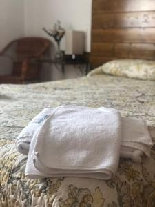 - 2 serviettes assises au-dessus d'un lit dans l'établissement 15 VENCEJOS, à Montemayor de Pililla