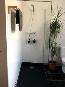 La salle de bains est pourvue d'une douche, de toilettes et d'un tapis vert. dans l'établissement 15 VENCEJOS, à Montemayor de Pililla