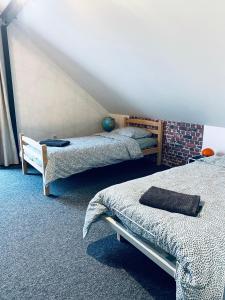 een slaapkamer met 2 bedden in een kamer bij L’écrin des bois in Mansac
