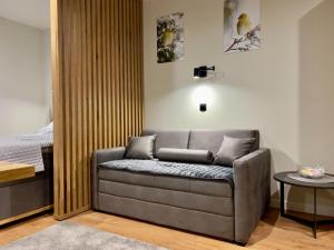 Posedenie v ubytovaní Regulus apartment Brzeće Kopaonik