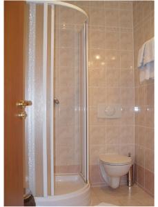 a bathroom with a shower and a toilet at Hotel Galerie in Třeboň