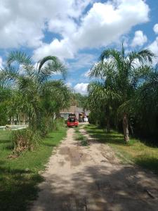 een onverharde weg met palmbomen en een rode auto bij 4 hijos in La Banda