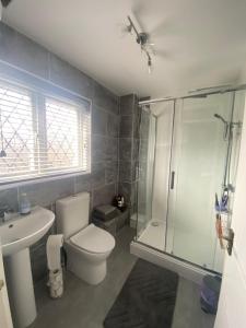a bathroom with a toilet and a shower and a sink at Family Home In The Forest Of Dean in Coleford