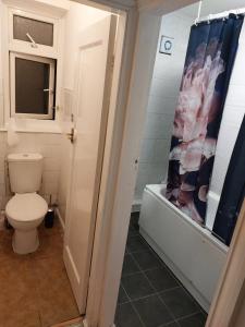 a bathroom with a toilet and a shower at Catford Homely Home in Hither Green