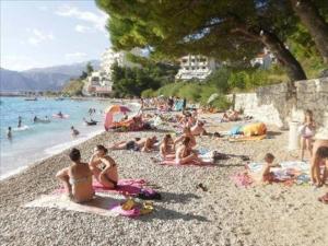 Príroda v okolí apartmánu