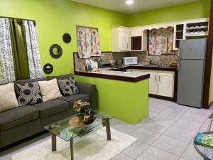 Canouan的住宿－Lydia`s View，带沙发的客厅和厨房