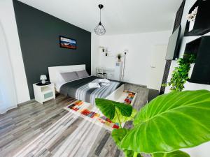 a bedroom with a bed and a large green plant at MontSee Brasov in Braşov