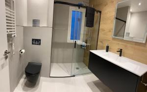 y baño con ducha, lavabo y aseo. en Caprichoso apartamento en zona romántica en San Sebastián