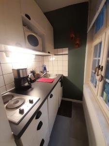 uma pequena cozinha com um fogão e um lavatório em Cathédrale em Estrasburgo