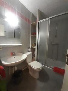 uma casa de banho com um WC, um chuveiro e um lavatório. em Cathédrale em Estrasburgo