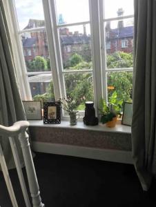 a window sill with plants and pictures on it at Room with a view in Winchester