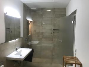 a bathroom with a shower and a sink and a mirror at Casaverde in Hofheim am Taunus