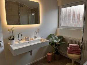 a bathroom with a sink and a mirror at Seerose - W14 in Ulm