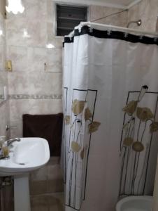 y baño con cortina de ducha y lavamanos. en Casa Ana2, a 20 min del aeropuerto de ezeiza en Luis Guillón