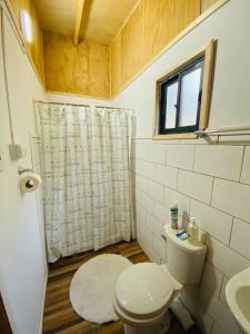 a small bathroom with a toilet and a sink at Hermosa Cabaña en Panguipulli in Panguipulli