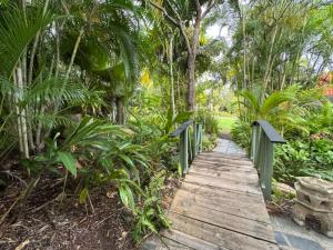 um caminho de madeira através de uma floresta com palmeiras em Magnetic Island Resort Studio em Nelly Bay