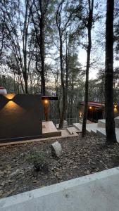 a house in a park with trees and lights at Roots Luxury Cabins in Mineral del Monte