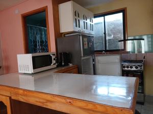 a kitchen with a counter with a microwave and appliances at cabañas jessy in Valdivia