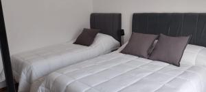 two beds sitting next to each other in a room at Ayres del Lago in Los Antiguos