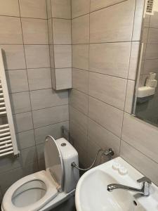 La petite salle de bains est pourvue de toilettes et d'un lavabo. dans l'établissement Gasthof Lublass, à Matrei in Osttirol