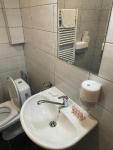 bagno con lavandino, servizi igienici e specchio di Gasthof Lublass a Matrei in Osttirol
