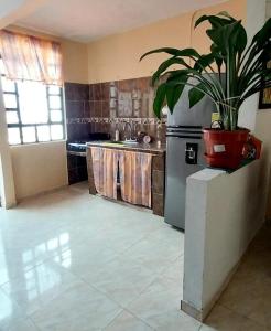 a kitchen with a potted plant sitting on a counter at acogedora casa Rochi in Guaduas