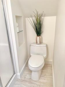 a bathroom with a toilet with a plant on the tank at 5STAR Close2BOSTON Private Stylish HOME +W/D+Wi-Fi in Marlborough