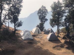un grupo de cinco tiendas de campaña en un campo en Free style camps, en Mussoorie