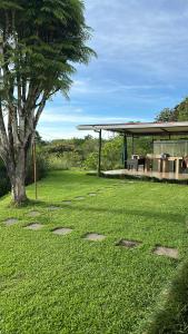 ein Park mit einem Baum und einer Bank im Gras in der Unterkunft Hermosa casa para descanso in Linda Vista