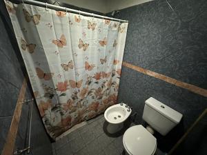 a bathroom with a toilet and a shower curtain with butterflies at El rincon de Valle in Valle Hermoso
