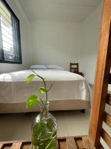 Un dormitorio con una cama y un jarrón con una planta. en La Casa de Ian en Santa Marta