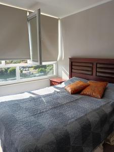 um quarto com uma cama com duas almofadas em Suitsebastian em Temuco