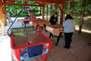 Stolní tenis v ubytování Domaine du Roi Kysmar nebo okolí