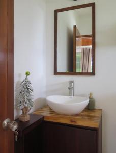 ein Badezimmer mit einem Waschbecken und einem Spiegel auf der Theke in der Unterkunft Casa El Rancho 1 in Estero
