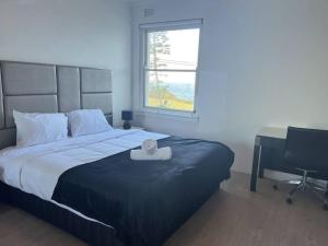 a bedroom with a bed and a desk and a window at Ocean View 1 bedroom Private Apartment Near Maroubra Beach in Sydney