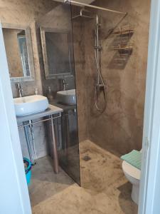 ein Bad mit einer Dusche, einem Waschbecken und einem WC in der Unterkunft MARINA , 2mn à PIEDS PLAGE BOUCAN CANOT in Saint-Gilles-les-Bains